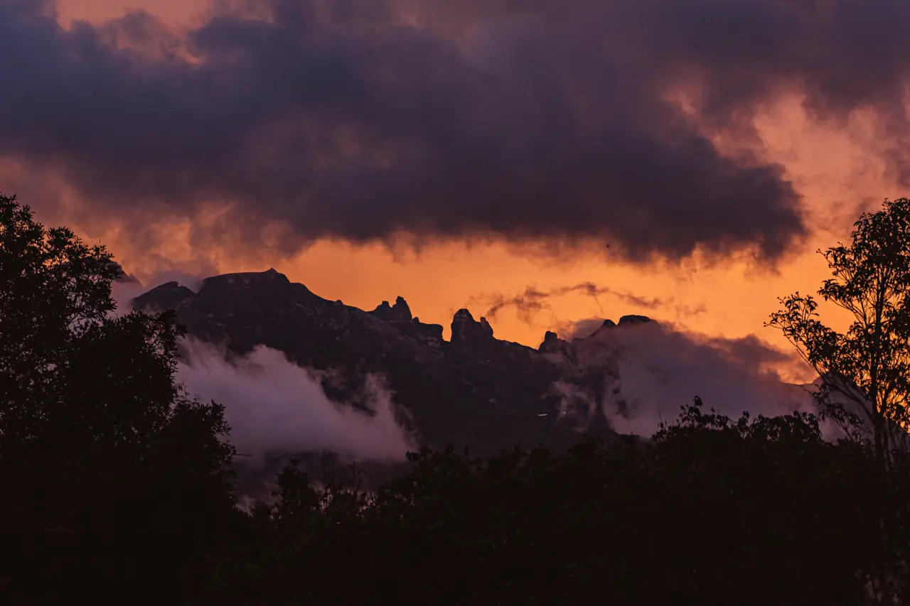 Kinabalu's jagged peaks at sunset behind the trees